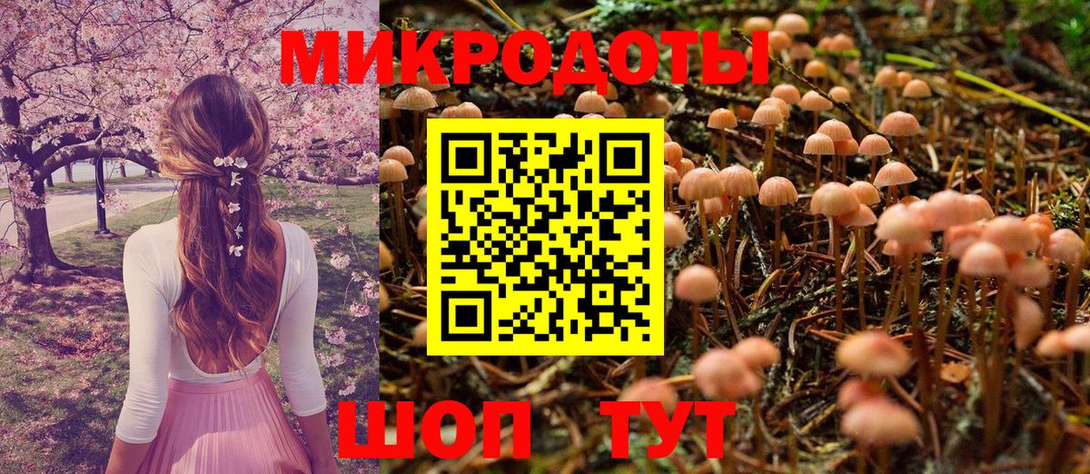 Подольск  Псилоцибиновые грибы мухоморы  Вход с VPN 