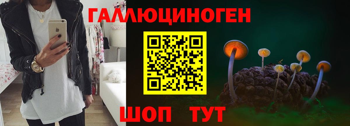 Псилоцибиновые грибы прущие грибы Подольск